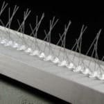 Bird Spikes - Bird Control