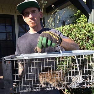 Rodent Removal & Control Services