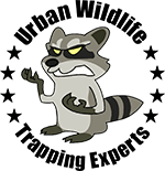 Los Angeles Animal Removal By Urban Wildlife Trapping Experts