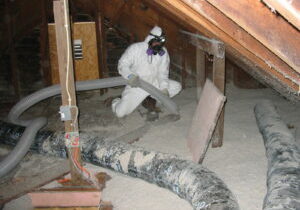 Attic Cleaning Services